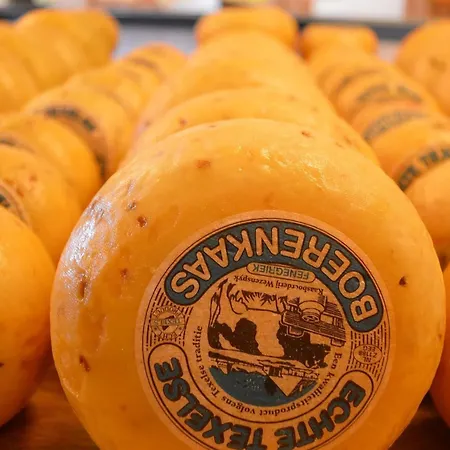 On Texel With Conservatory Tatil Evi