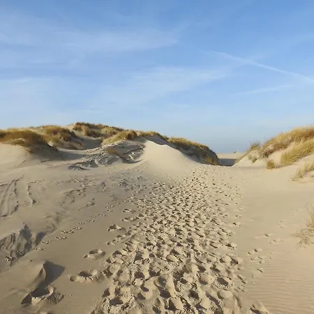 Casa vacanze On Texel With Conservatory *